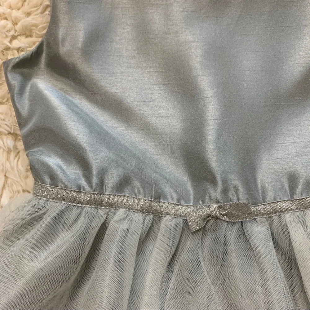 Gymboree Gray Sparkly Taffeta Tulle Formal Dress